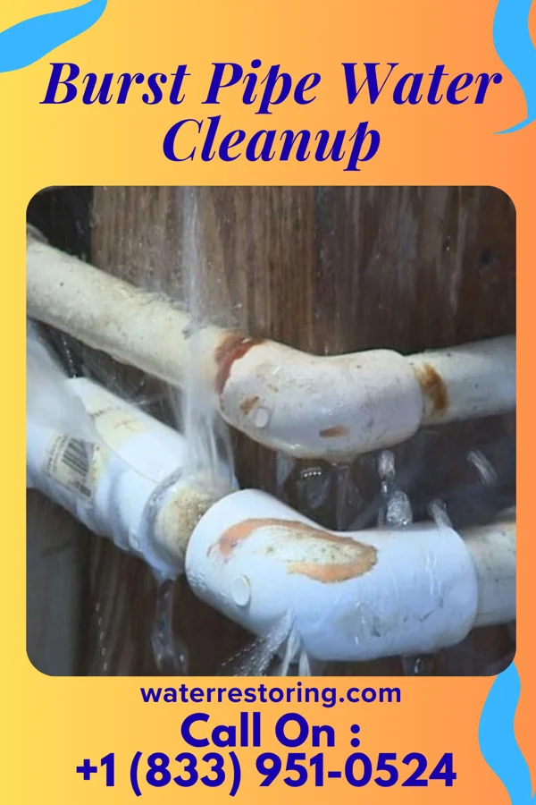 Burst Pipe Water Cleanup in Fuquay-Varina, NC