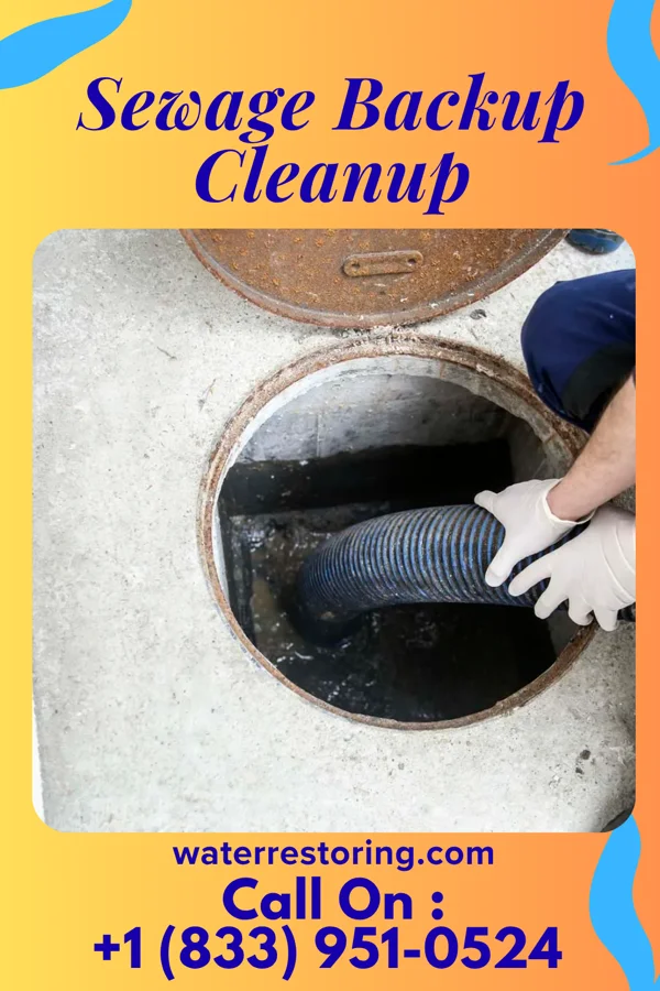 Sewage Backup Cleanup in Fuquay-Varina, NC