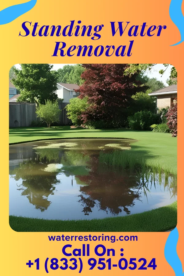 Standing Water Removal in Fuquay-Varina, NC
